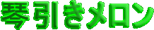 �������ڍׂփ����N